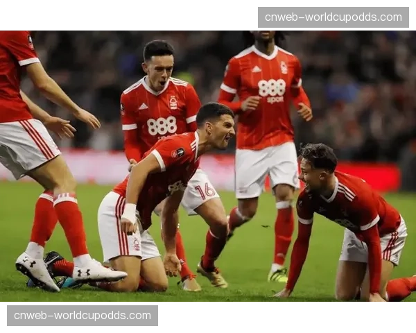 诺丁汉森林2-2战平埃弗顿,比赛净时间因频繁犯规创本月新低 诺丁汉森林2-2战平埃弗顿,比赛净时间因频繁犯规创本月新低